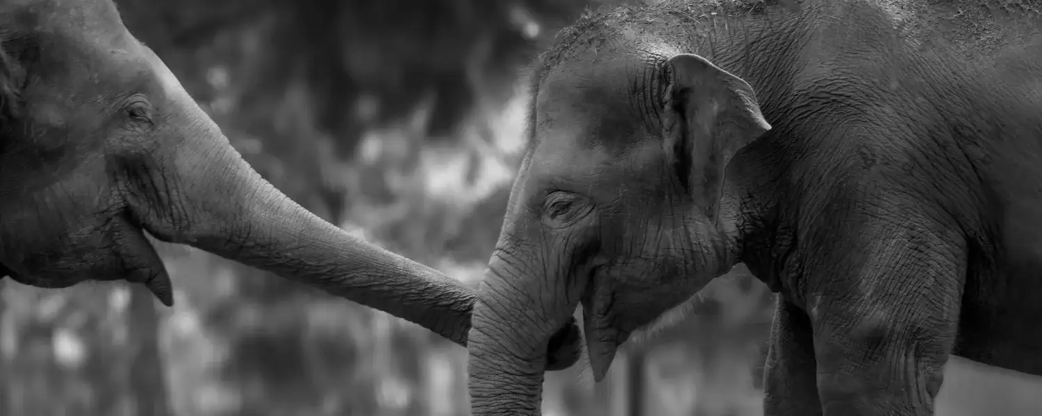 Best Of North Kerala-1